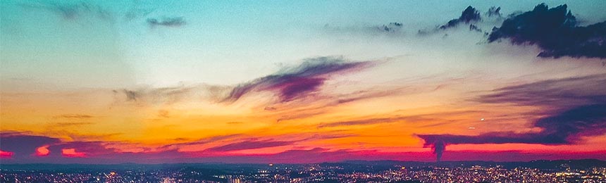 嵊州茶虫网_嵊州品茶